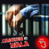 COMPILATION - CANZONI E MALA VOL 3