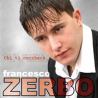 FRANCESCO ZERBO - CHI TI CERCHERÀ